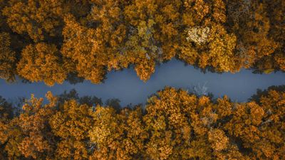 Cat Bond Triggers: When & How Your Capital is at Stake-featured