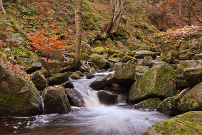 What’s the Connection Between AI & Catastrophe Bonds? Special Purpose Vehicles-featured