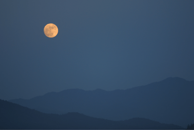 Cat Bond Triggers: When & How Your Capital is at Stake-featured