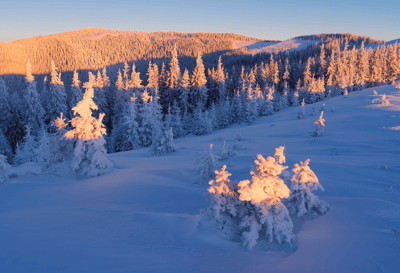 From Hurricane to Payout: The Lifecycle of a Cat Bond-featured