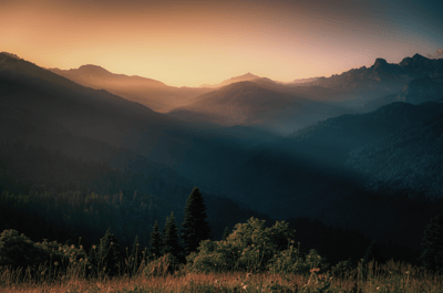 Beyond the Market: Understanding Actuarial and Binary Risk-featured