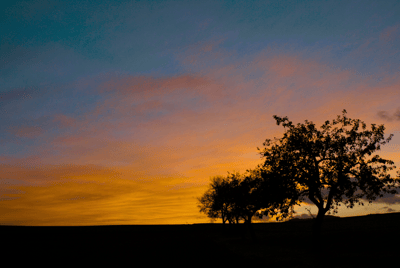 Why Cat Bonds Were Gate Kept (Until Now)-featured